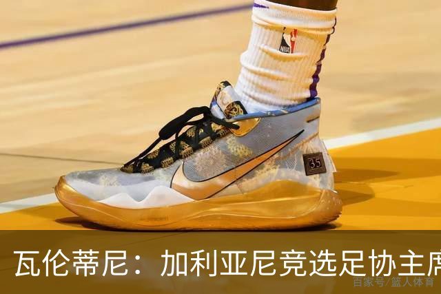 瓦伦蒂尼：加利亚尼竞选足协主席，意甲内部存在分裂